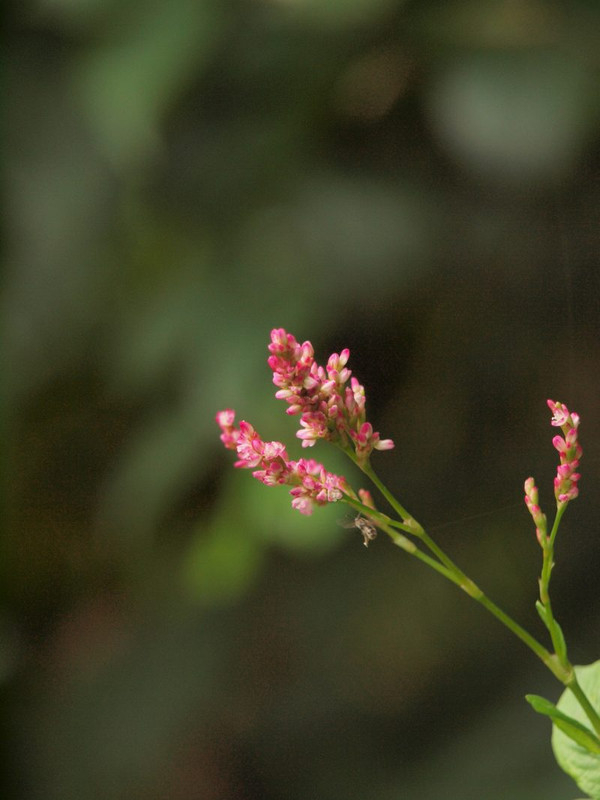 P7270550