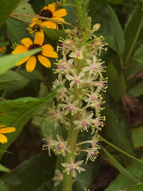 P7270560