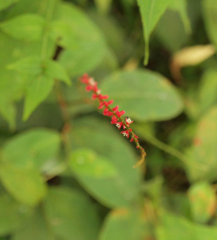 P7290679