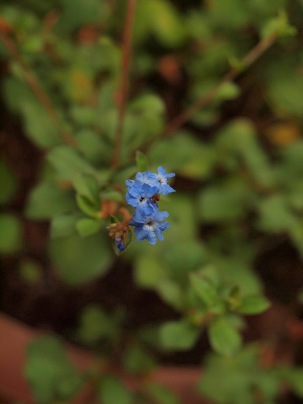 P7300698
