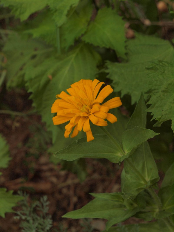 P7300703