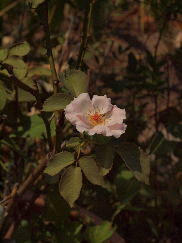 P8040849