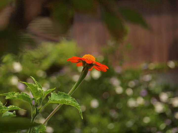 P1011342