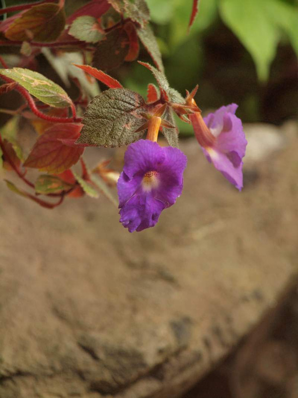 P8101207