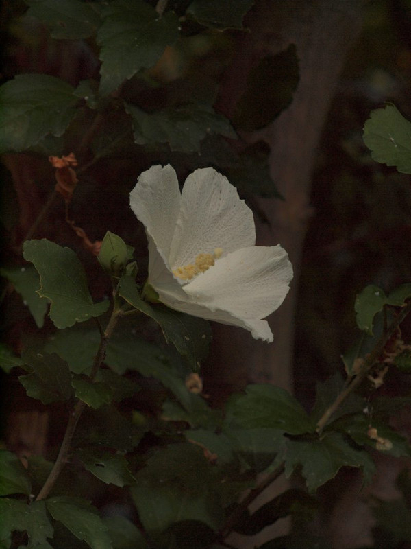 P8141319