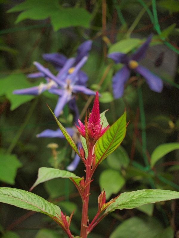 P8211605