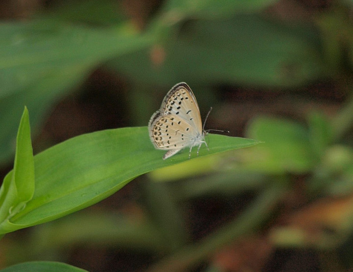 P8211626