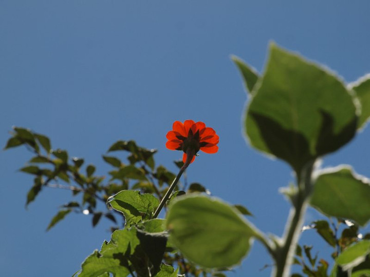 P1012013