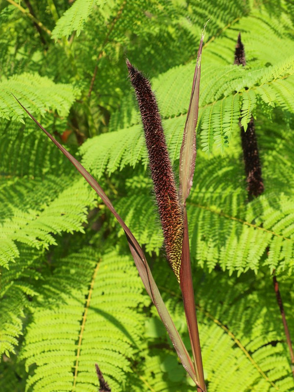 P8272033