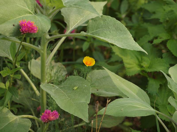 P8292204