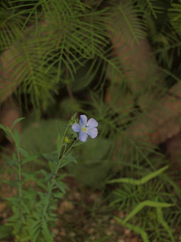 P8292206