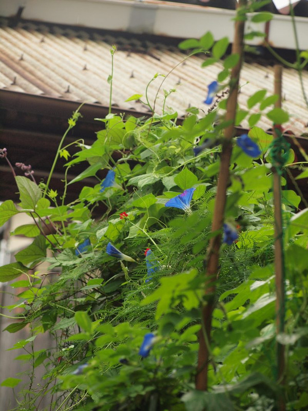 P8302215