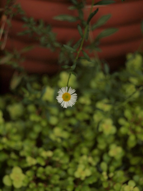 P8302226
