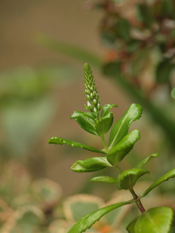 P8302231