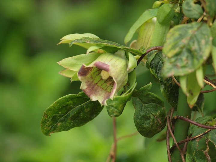 P8302235