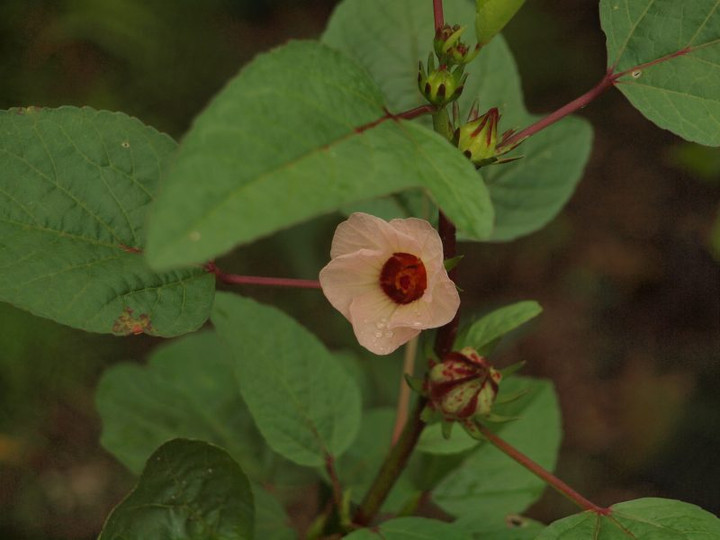 P8302237