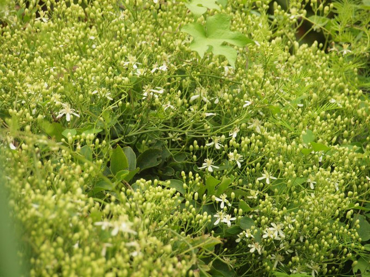 P8302239