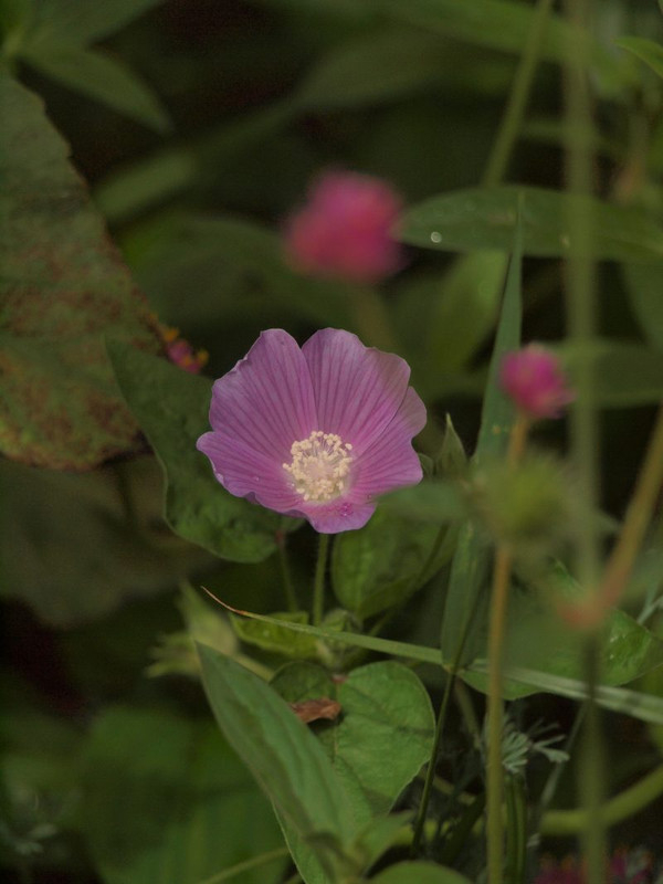 P8302241