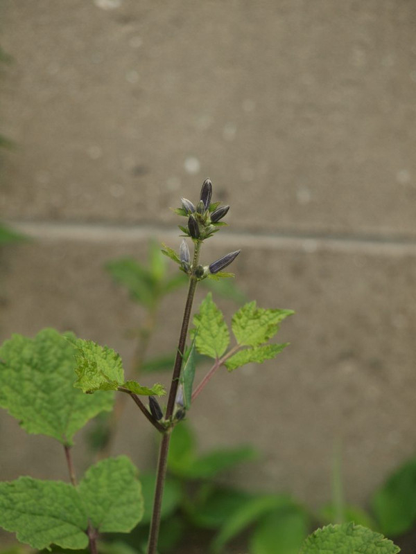 P8302242