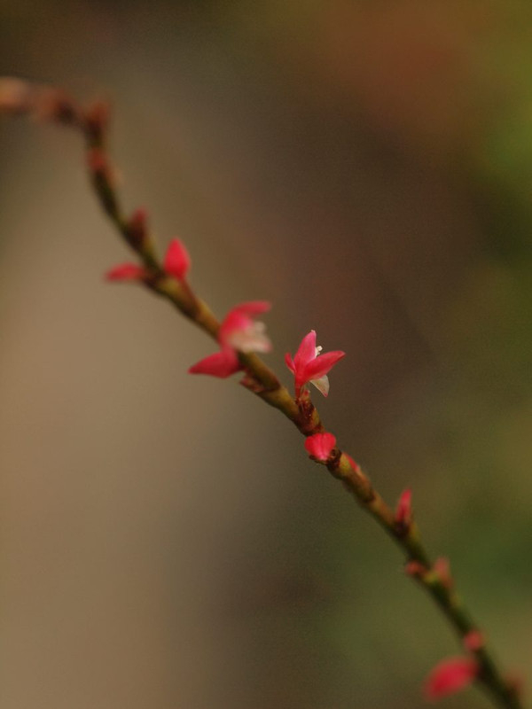 P8302258