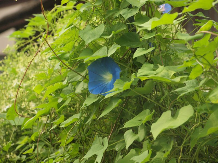 P9012311
