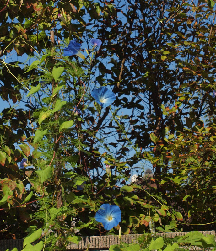 P9112961