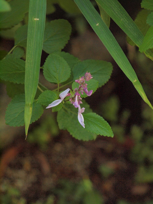 P9112978