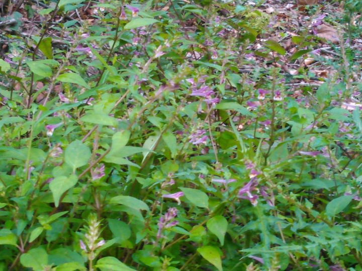 11936508_160051494331101_1214119769