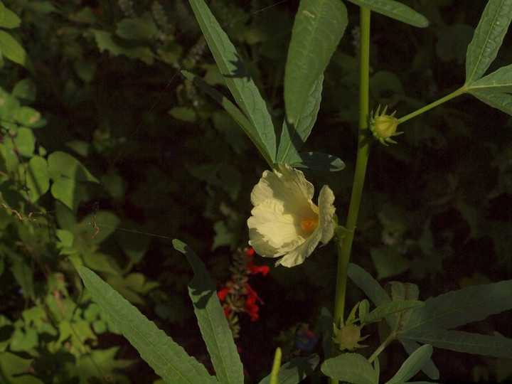 P9203824