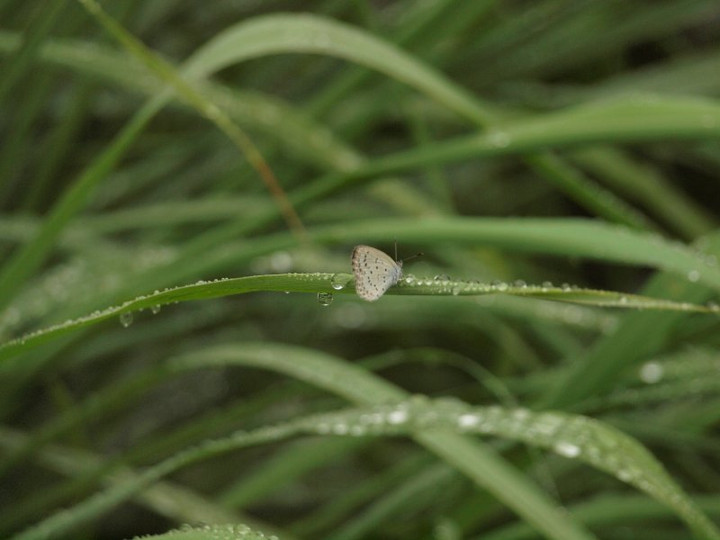P9254427