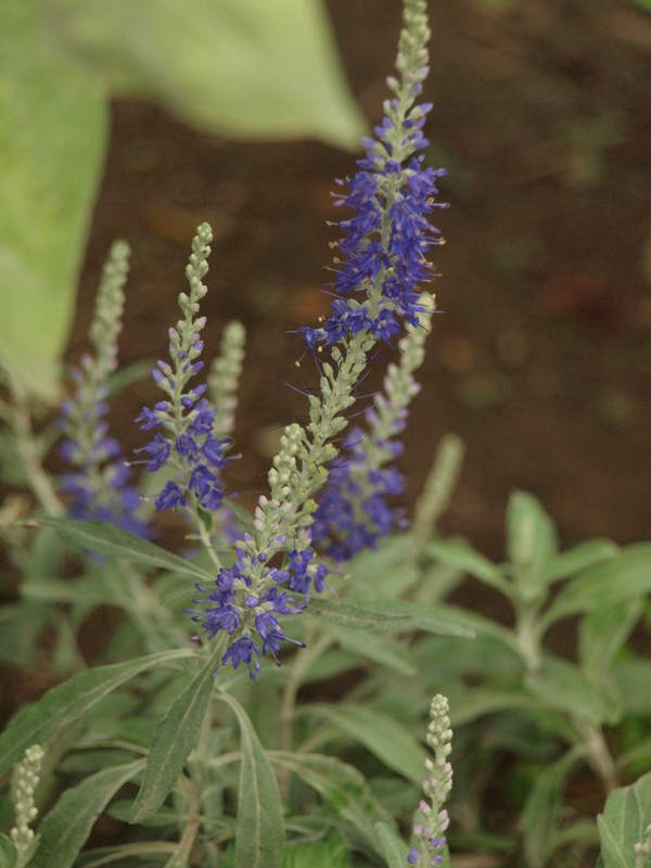 P9264469