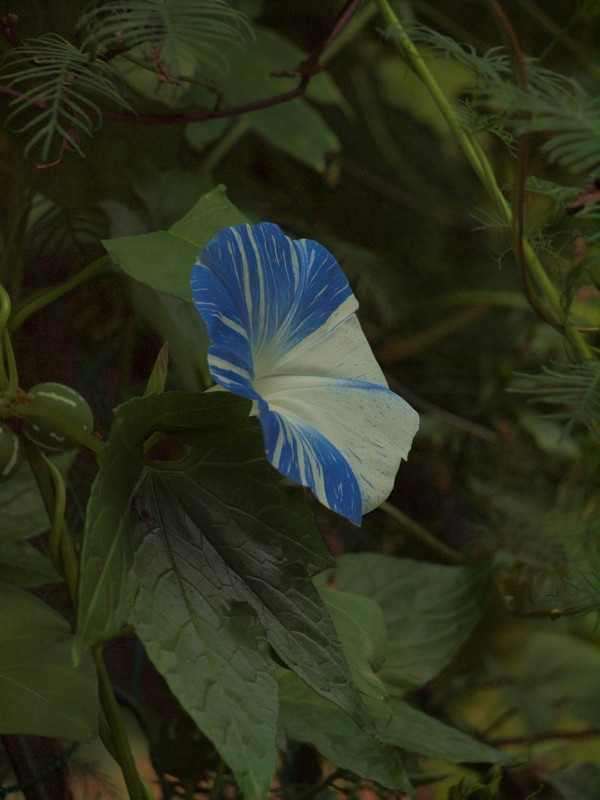 P9274493