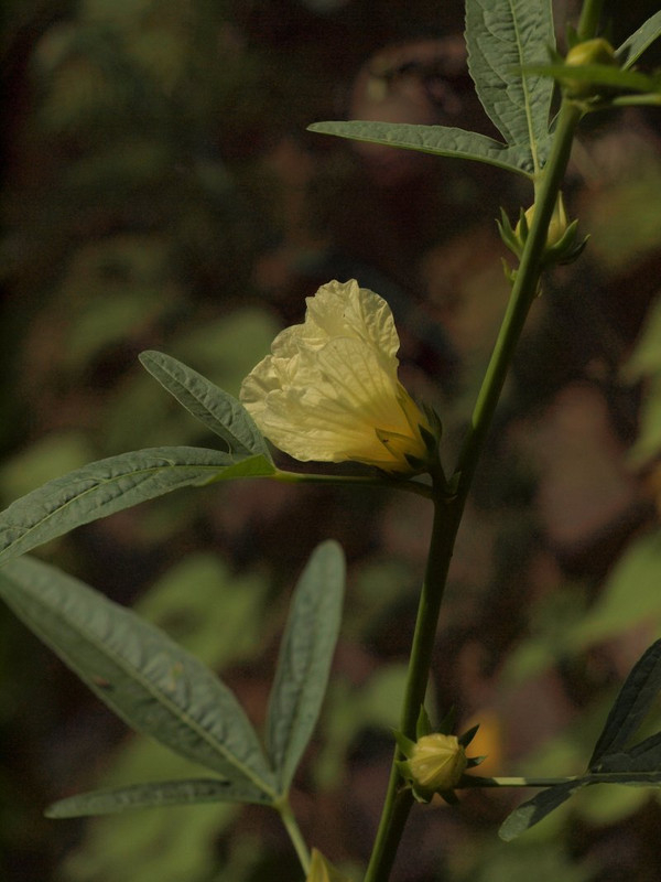 P9274513