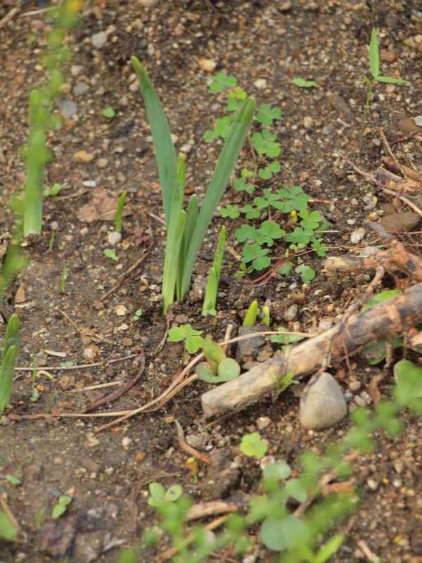 P9274527