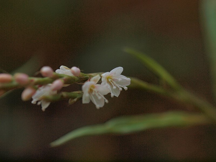 P9284566
