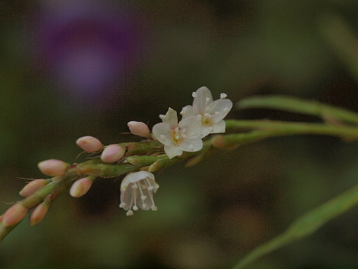 P9284569