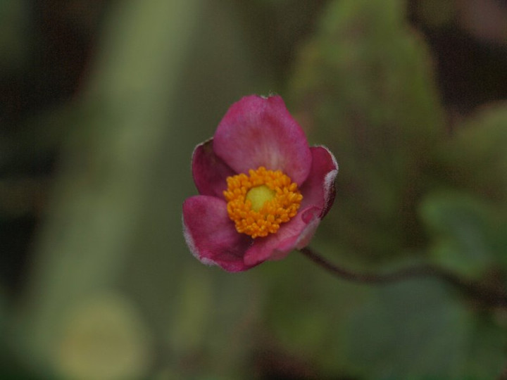 P9284581