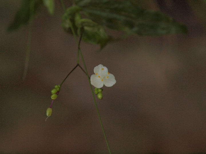 P9284582