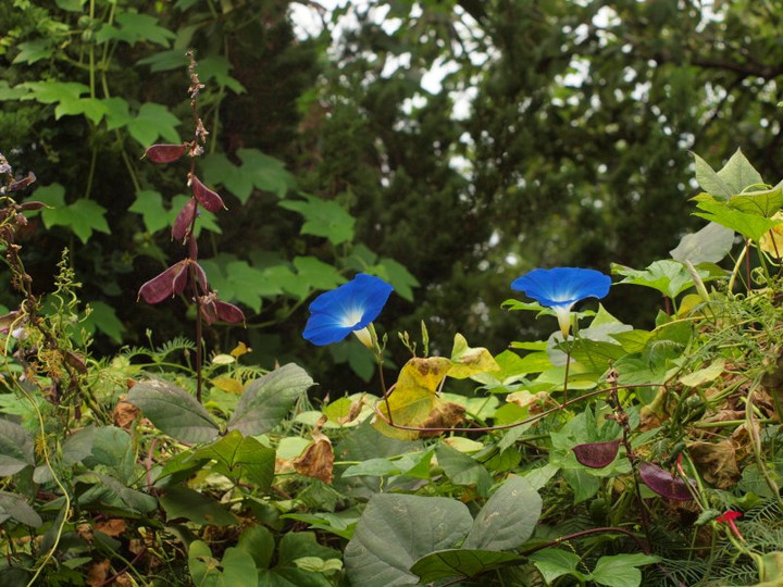 P93049892