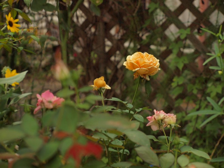 P9305011