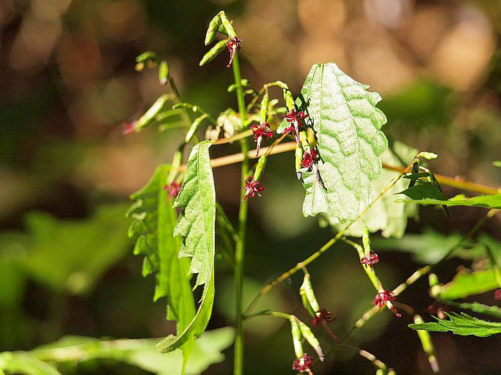 P9294680kusayatude_2