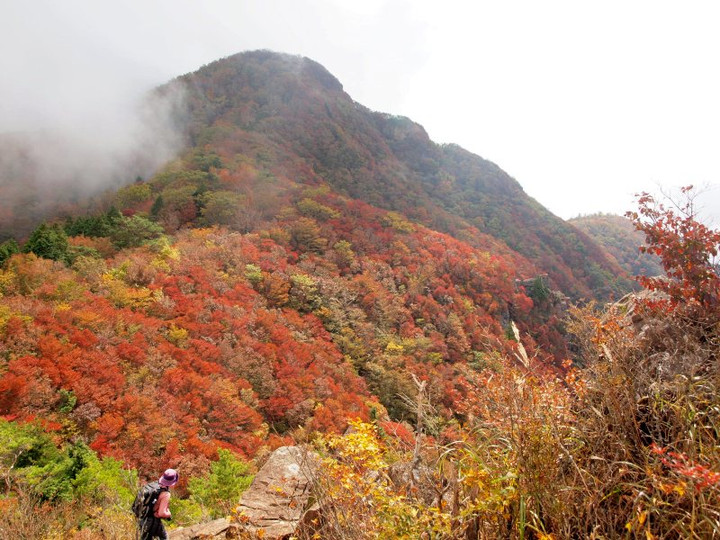 Pa136531pionesannto_kouyou