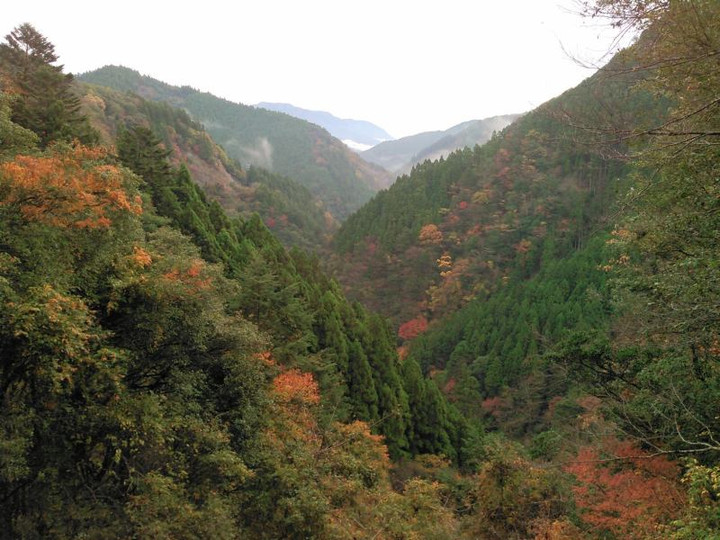 12197028_194614547541462_339680601_