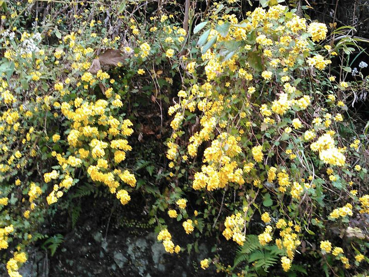 12235432_194609684208615_991262991_