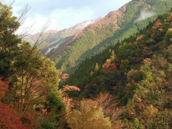 12235505_194615637541353_1789747607