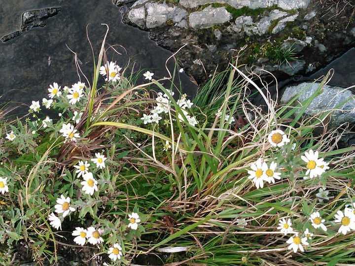 12236970_194642194205364_2027875316