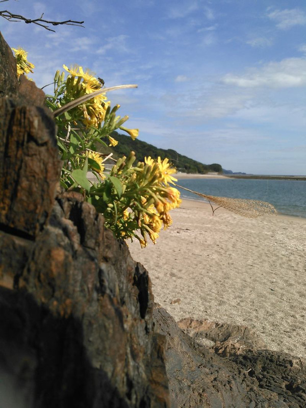 12218877_194653474204236_925954154