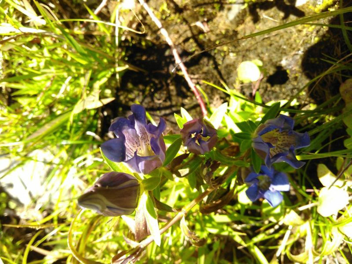 12218902_194641214205462_1791041995