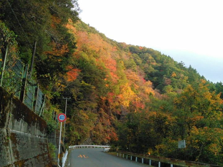 12228164_194614634208120_1974826606