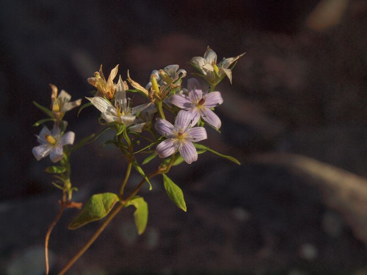 P1017960